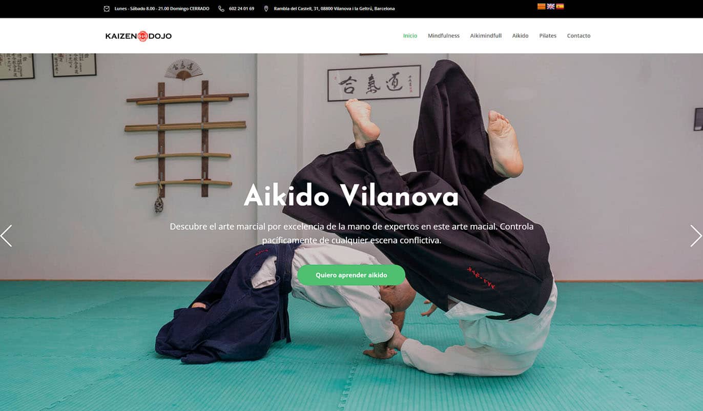 diseño web aikido