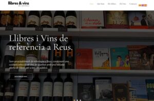 diseño web en reus