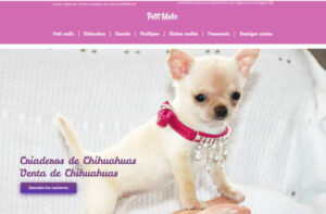 diseño web taragona